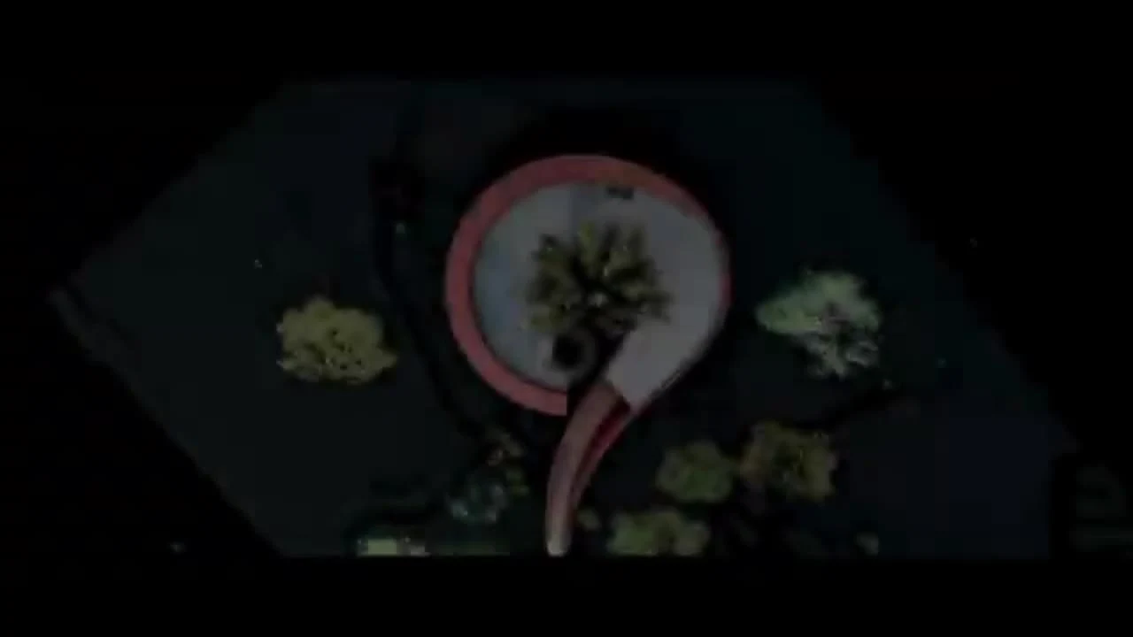 Arrival and circulation