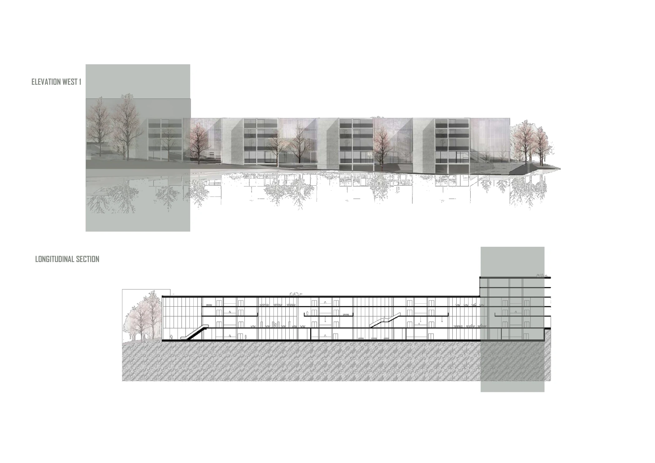 Longitudinal section and west elevation