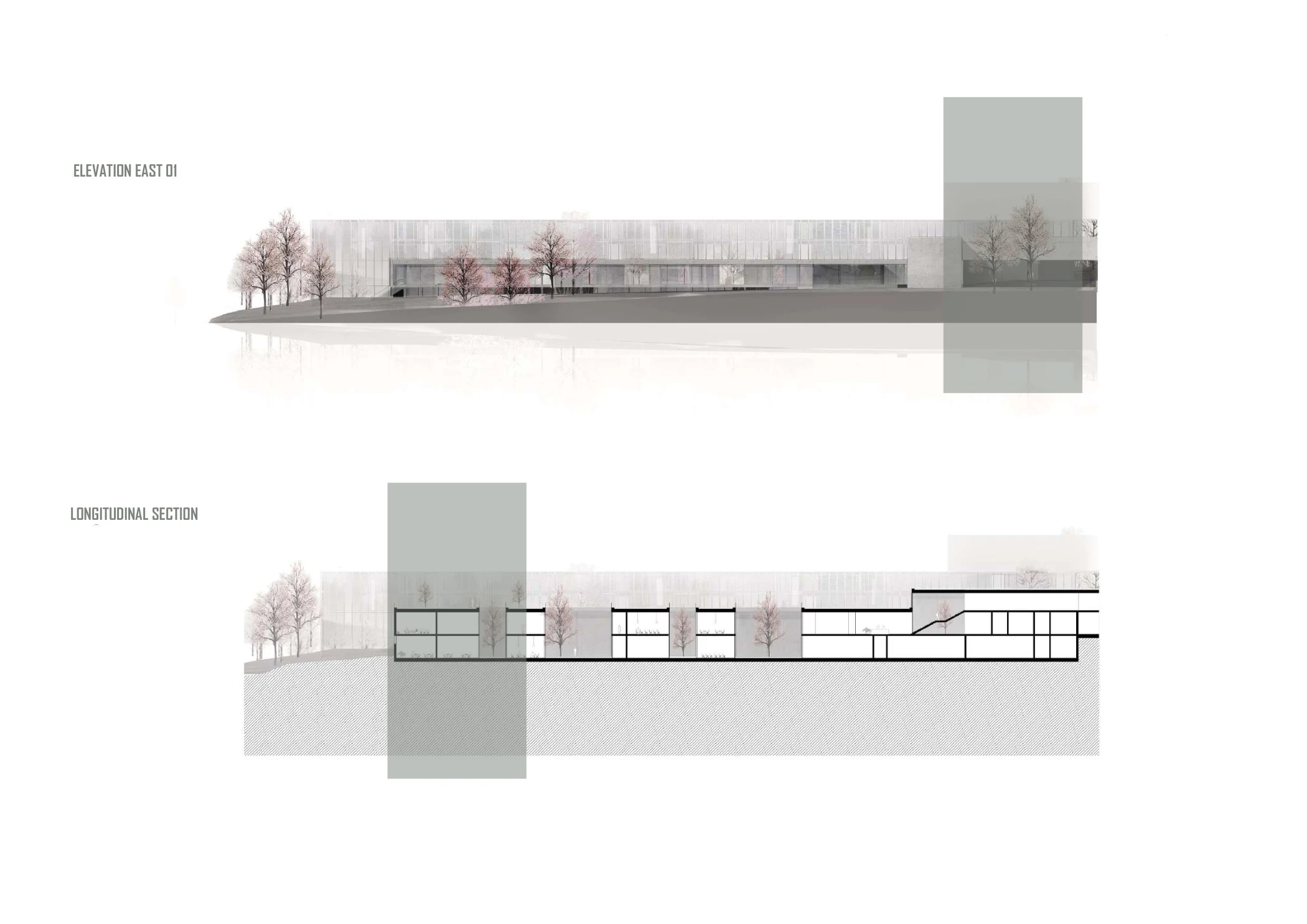 East elevation and section