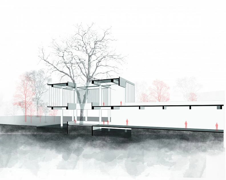 Section perspective