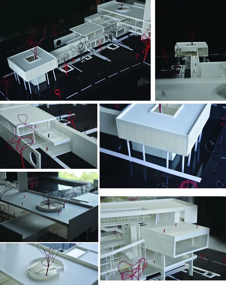 Overall physical model