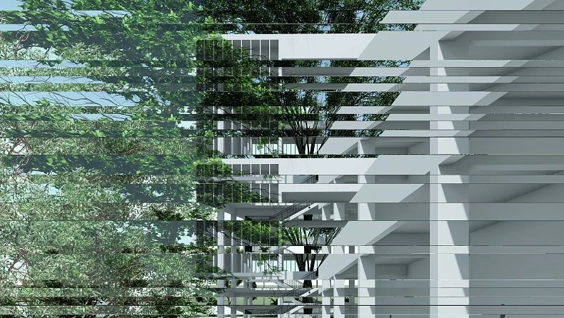 Light filtered through the façade